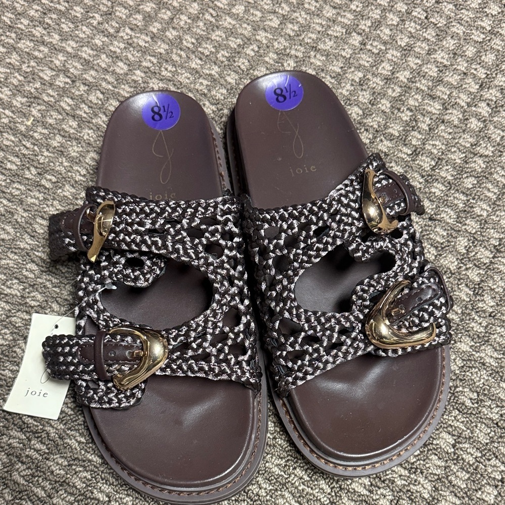 Joie Brown Braided Slide Sandals with Gold Buckles